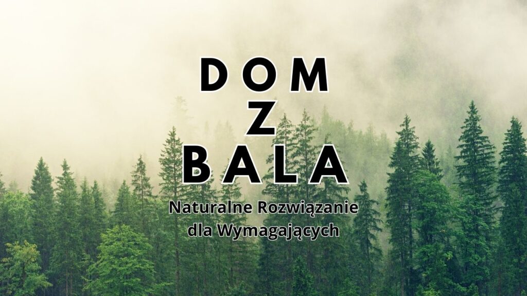 Las we mgle z hasłem Dom z Bala - Naturalne Rozwiązanie dla Wymagających