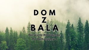Las we mgle z hasłem Dom z Bala - Naturalne Rozwiązanie dla Wymagających